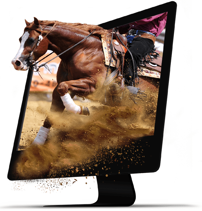 Dynamic computer monitor display showcasing a reining horse with a rider performing a sliding stop, capturing the spirit of equine website themes by Big Sky Internet Design.