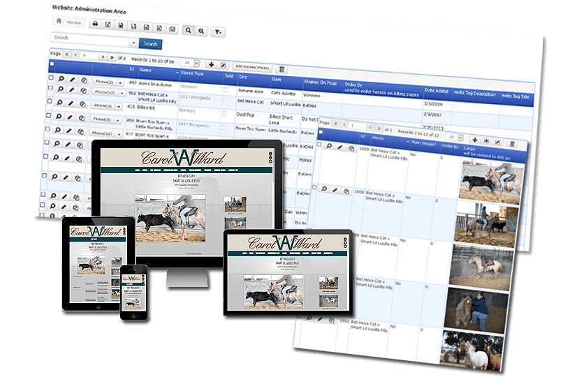 Screenshots showing a responsive horse-themed website and its straightforward admin interface from Big Sky Internet Design.