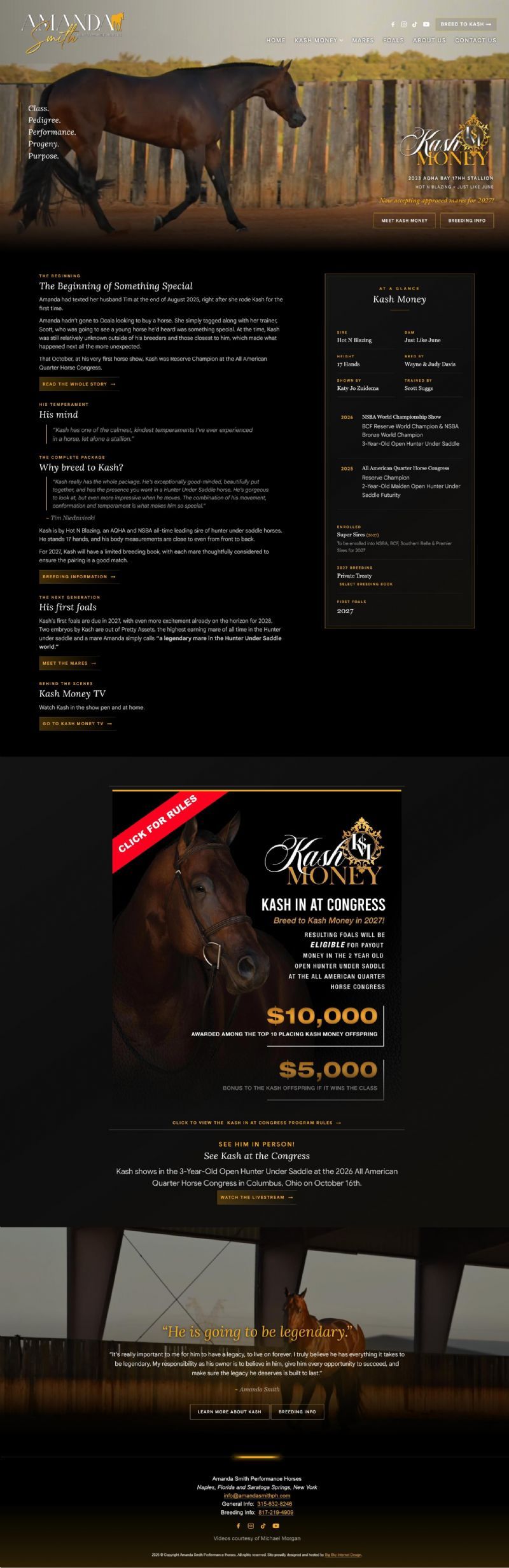 Amanda Smith Performance Horses - Home of Kash Money