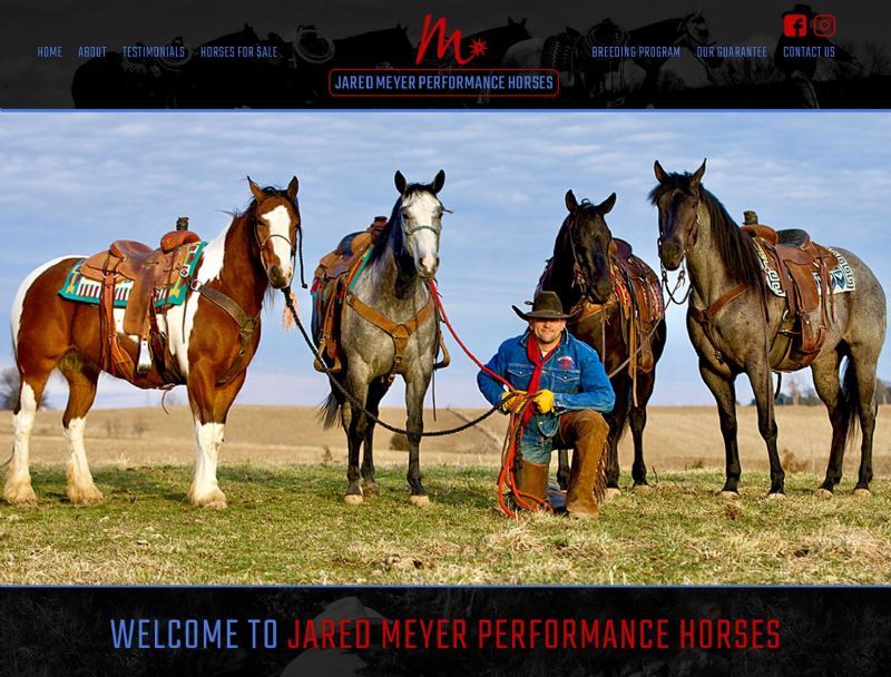 Jared Meyer Performance Horses