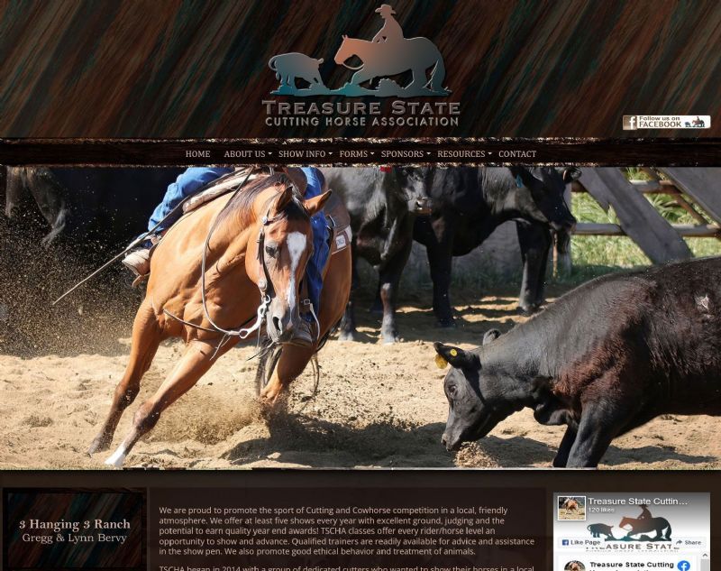 Treasure State Cutting Horse Association